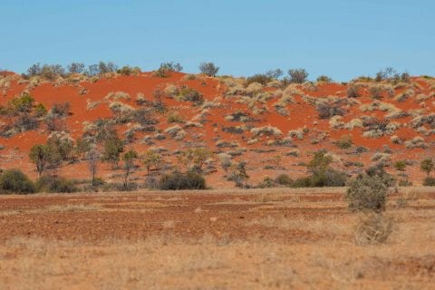 Vivid red sand hills typical of this area