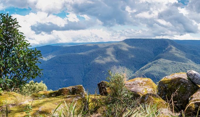 Barrington Tops NSW - AOR News